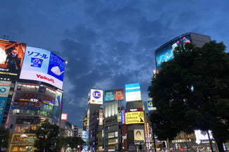Exploring Japan with Kids: A Family Adventure Through Tokyo, Kyoto, and Osaka