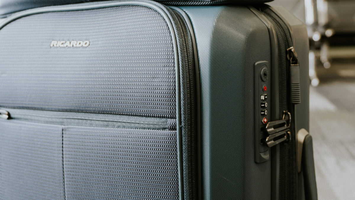 Sale Luggage - Ricardo Beverly Hills