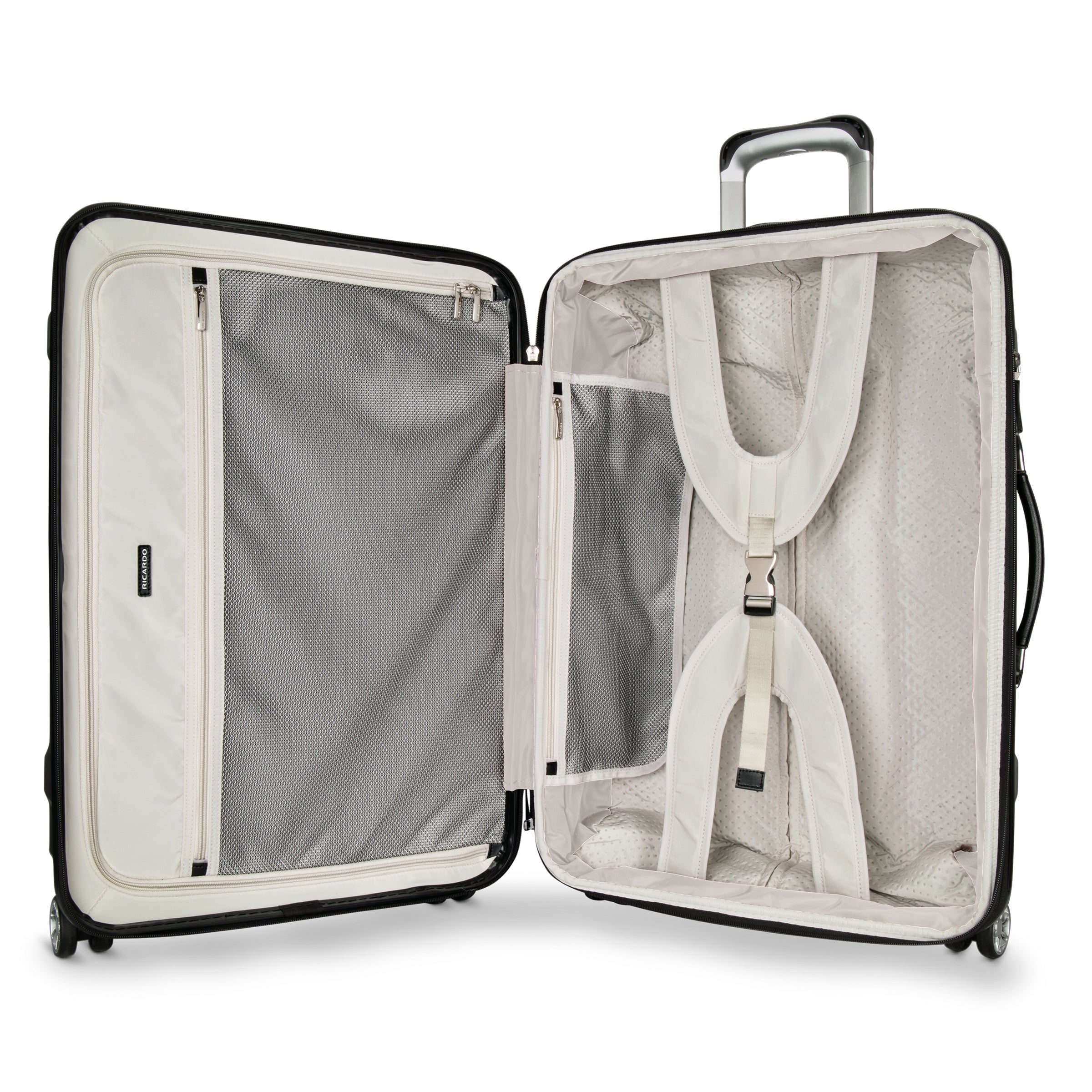 Ricardo Beverly Hills Rodeo Drive 2.0 Rodeo Drive 2.0 Hardside Medium Check-In Expandable Spinner (Member Exclusive)