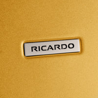 Ricardo Beverly Hills Cambria Cambria Hardside Large Check-In Expandable Spinner
