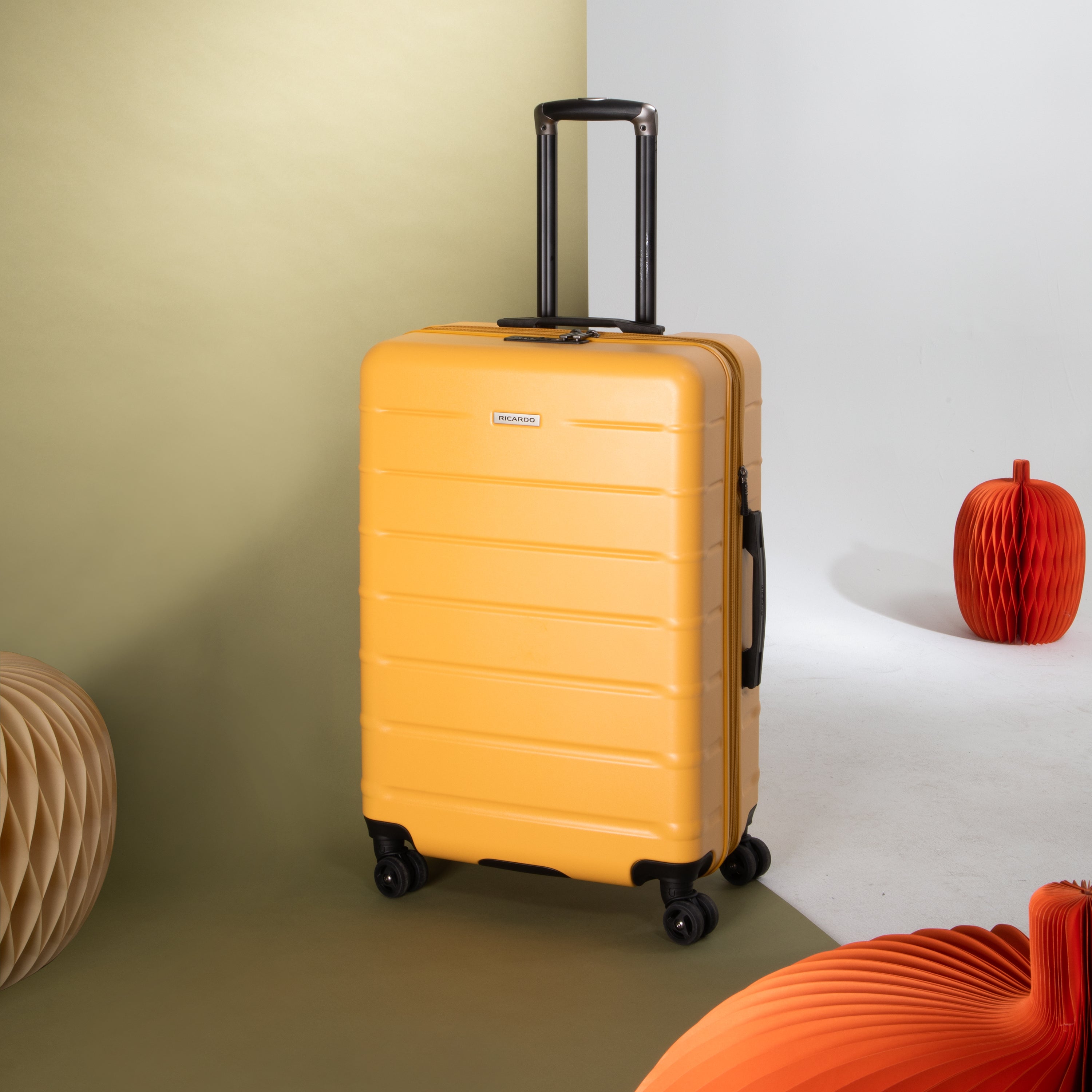 Ricardo Beverly Hills: Ricardo Luggage