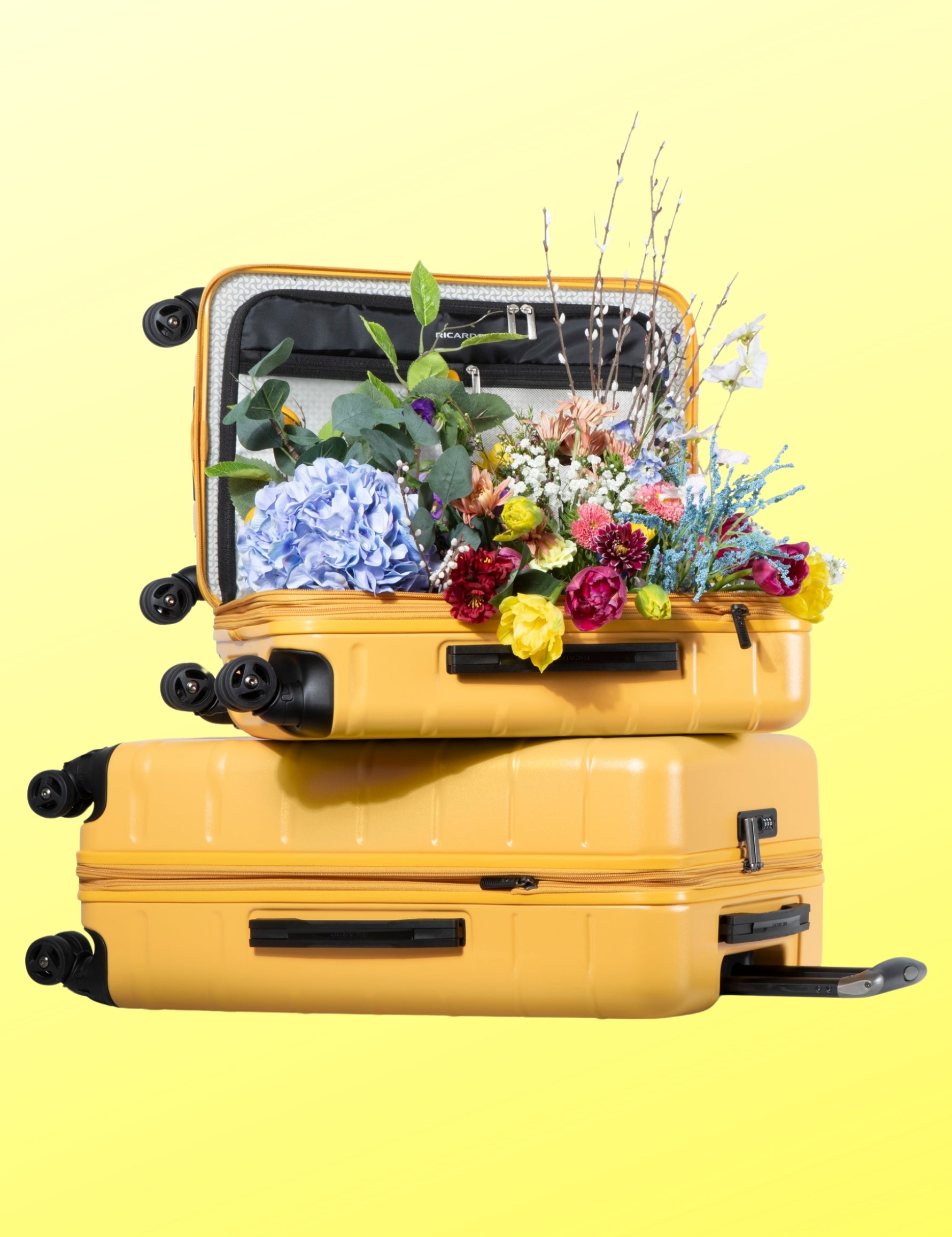 Ricardo Beverly Hills: Ricardo Luggage