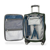 Ricardo Beverly Hills Avalon Avalon Softside 2-Piece Set (20" Carry-on & 28" Large Checked)