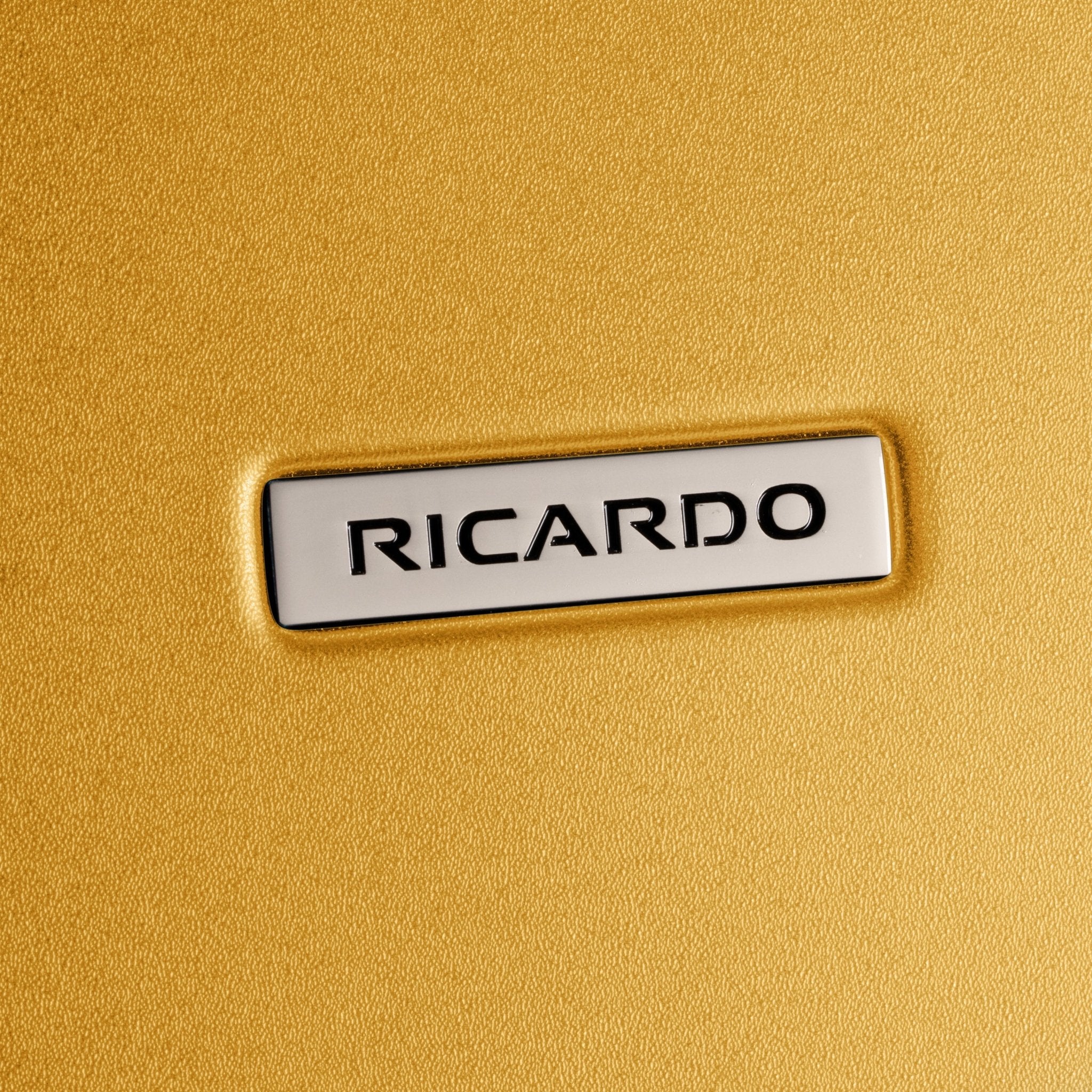 Ricardo Beverly Hills Cambria Cambria Hardside Large Check-In Expandable Spinner