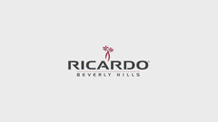 Rodeo Drive 2.0 Hardside Medium Check-In Expandable Spinner (Arrivia Exclusive)